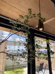 暮らしにあった家を作る！　建築家と建てる家　R+house薩摩川内