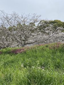 受け継ぐ土地の良さを活かす家づくり　建築家と建てる家　R +house薩摩川内